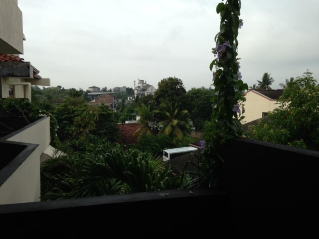 Silvikris Villa Colombo Esterno foto