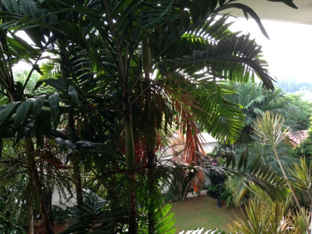 Silvikris Villa Colombo Esterno foto